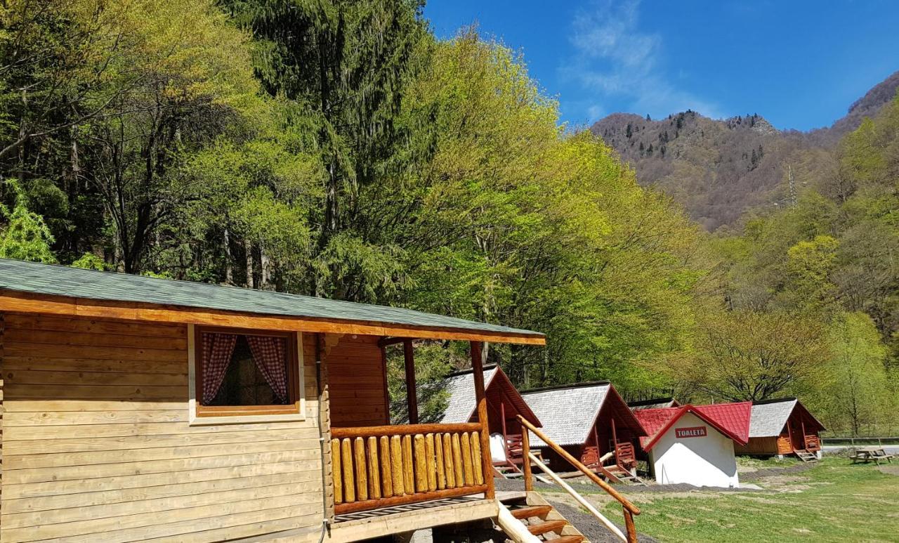 Cabanute Si Camping Dracula Capatineni-Paminteni Exterior photo